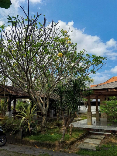Others, Hotel Paradiso Mataram, Lombok