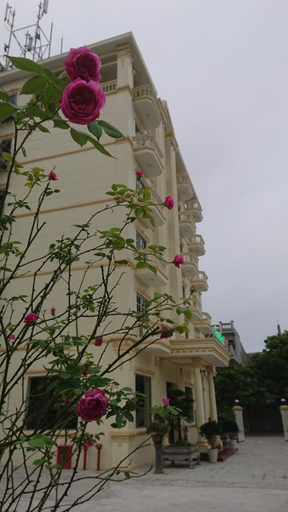 Others 2, Camellia Hotel, Thanh Hóa City