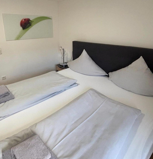 Room 3, Moderne Wohnung in Willingen, Waldeck-Frankenberg