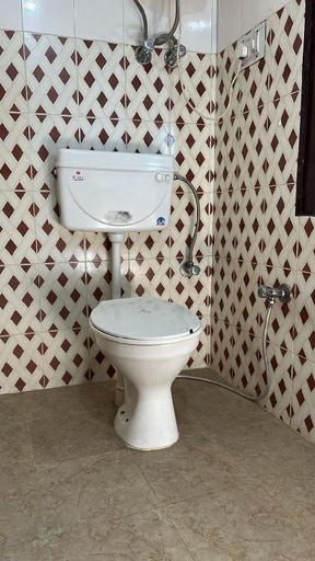 Bathroom 2, Saraswati palace, Kullu