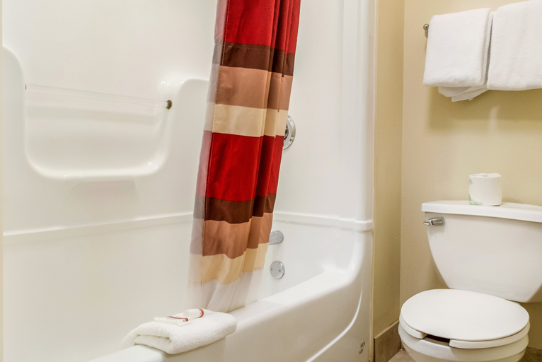 Bathroom 4, Red Roof PLUS+ Raleigh Downtown – NCSU/Conv Center, Wake
