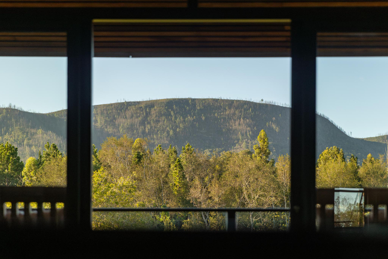 View 5, Plateau Country House, Eden