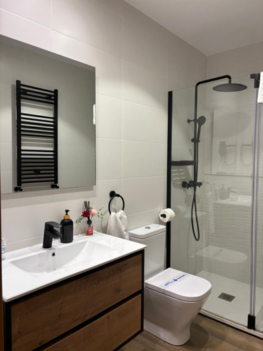 Bathroom, Apartamentos Fuente La Pipa, Asturias