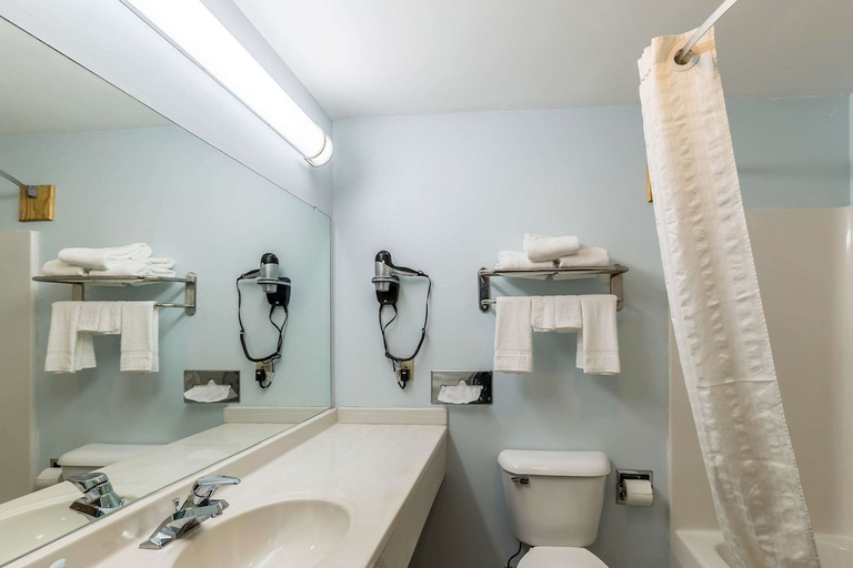 Bathroom 4, Rodeway Inn Ludington, Mason