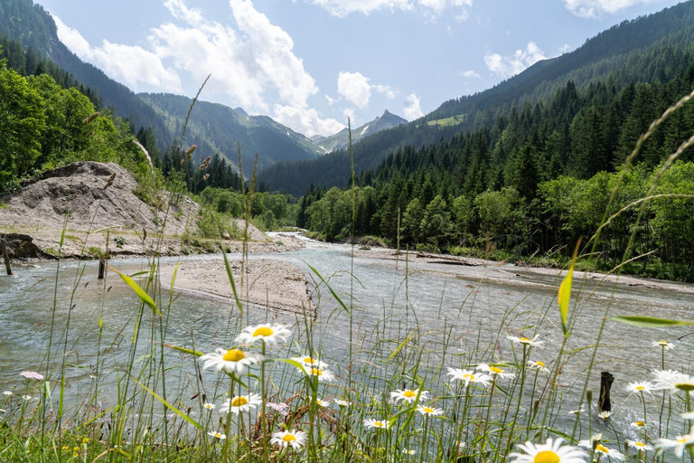 Others 5, Hochalmbahnen Chalets 20W4, Eberesche, nahe Gondel, Hunde willkommen, Zell am See