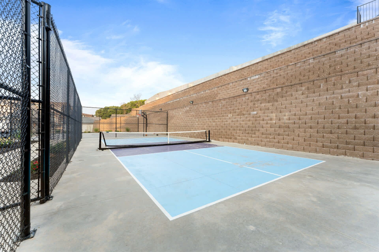 Sport court, Lake Lookout Retreat and 9bdr, Taney