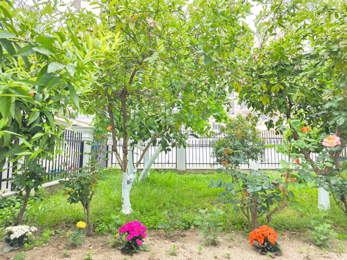 Others 3, Villa Kurti, Durrësit