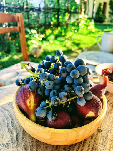 Food & Drinks 4, Guesthouse Vitoria - Mrizi i Zanave, Lezhës