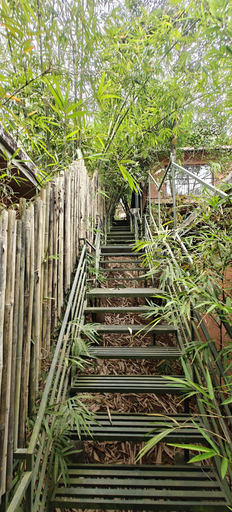 Property grounds, Amritara Dominic's Nature Retreat & Spa Wayanad, Wayanad