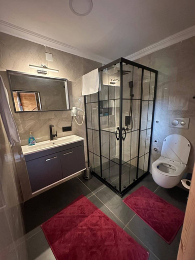 Bathroom, The Reoss Bungalov, Ardeşen