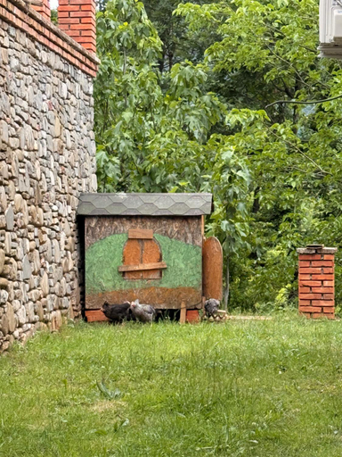 Others 5, Nia's Farm, Librazhdit