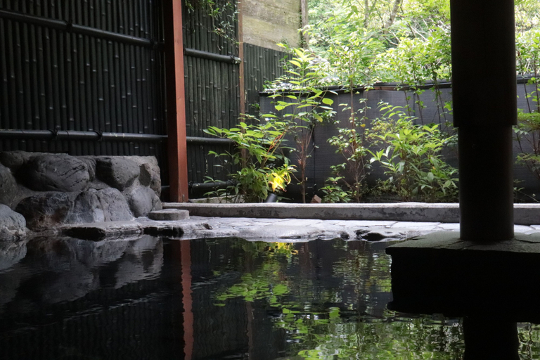 Others 5, Onsen Guesthouse Tsutaya - Hostel, Hakone