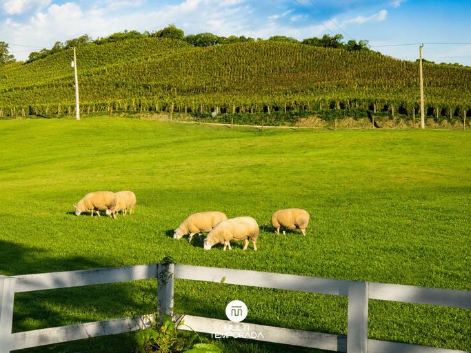 Garden view, Linda Casa em Estilo Germânico em Rancho Queimado, Rancho Queimado