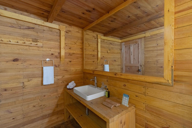 Bathroom 3, ELIVAAS 4 BHK with Garden & Sauna - Skylounge, Shimla