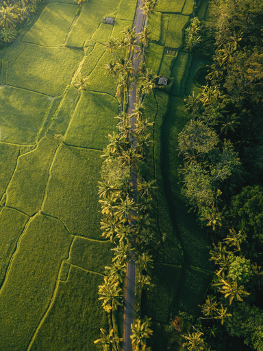 Others 5, SHIBUMI UBUD - Where Zen Meets Paradise, Gianyar