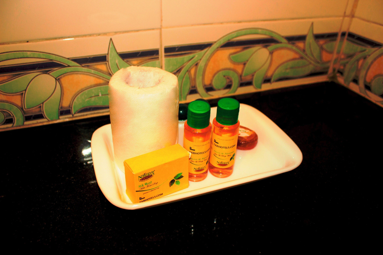 Bathroom, Fabhotel Brother'S Inn, North 24 Parganas