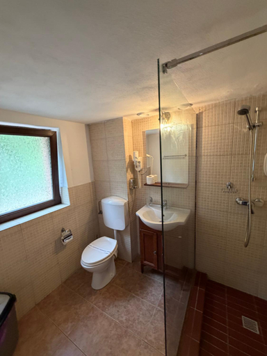 Bathroom 3, Pensiunea Casa Rica, Calimanesti