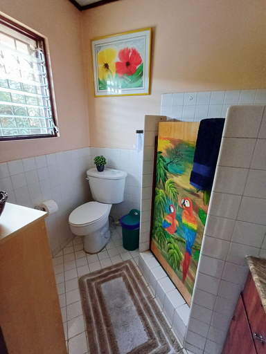 Bathroom 4, The Cariari Bed and Breakfast, Belén