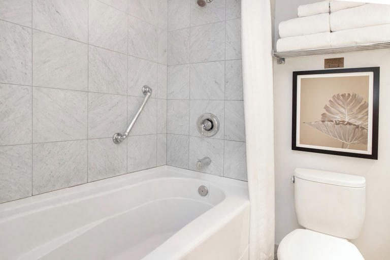 Bathroom 4, Fantasyland Hotel, Division No. 11