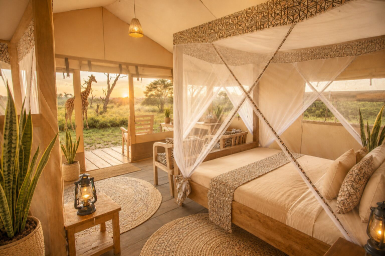 Room 5, Africa Safari Serengeti Ndutu, Serengeti