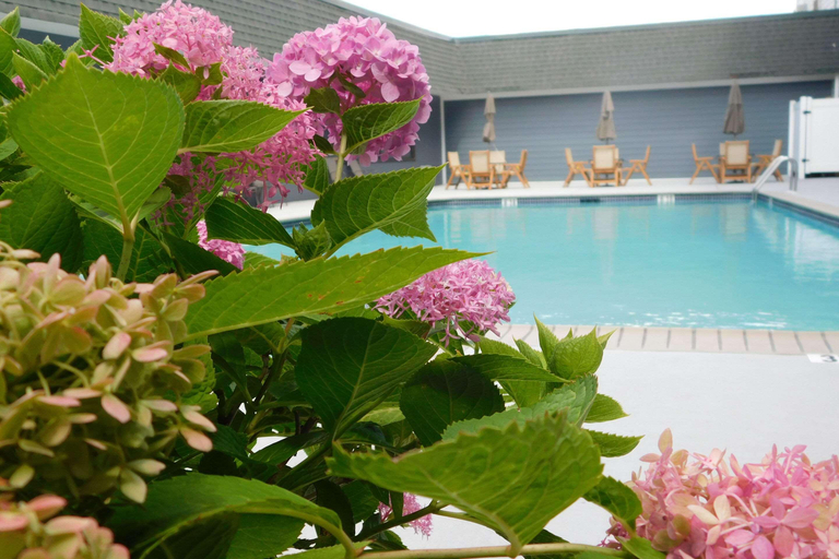 Sport & Beauty 2, Comfort Inn & Suites Glen Mills - West Chester, Delaware