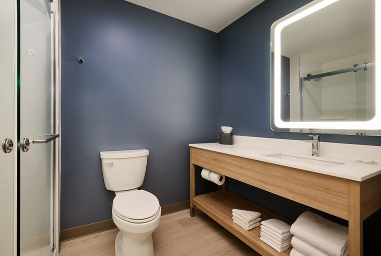 Bathroom, Hyatt Studios Cedar Rapids Airport, Linn