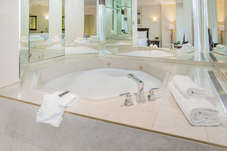 Bathroom 4, Fantasyland Hotel, Division No. 11