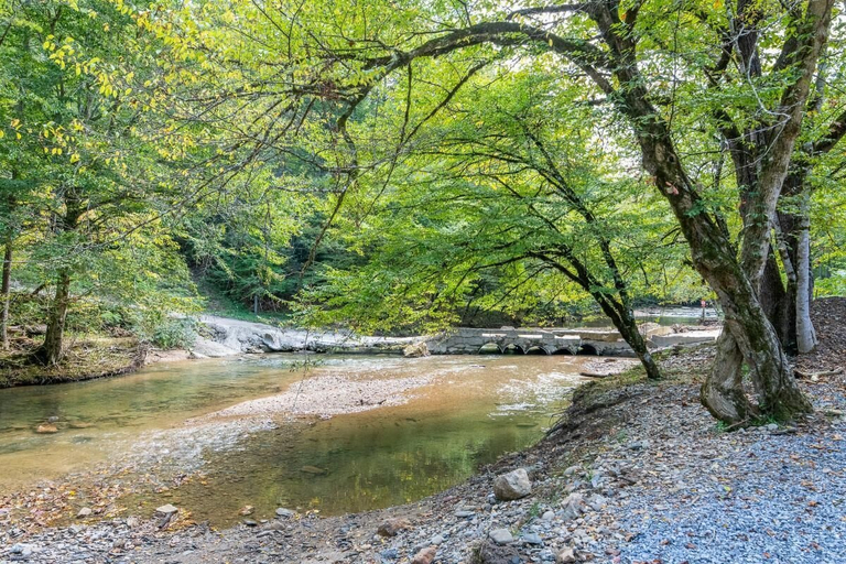 Miscellaneous 3, Cabin on the Creek, Sevier