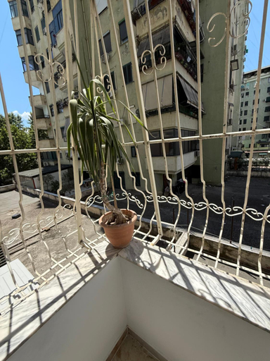 Others 5, Dengu Luxury Apartments Tirana, Tiranës
