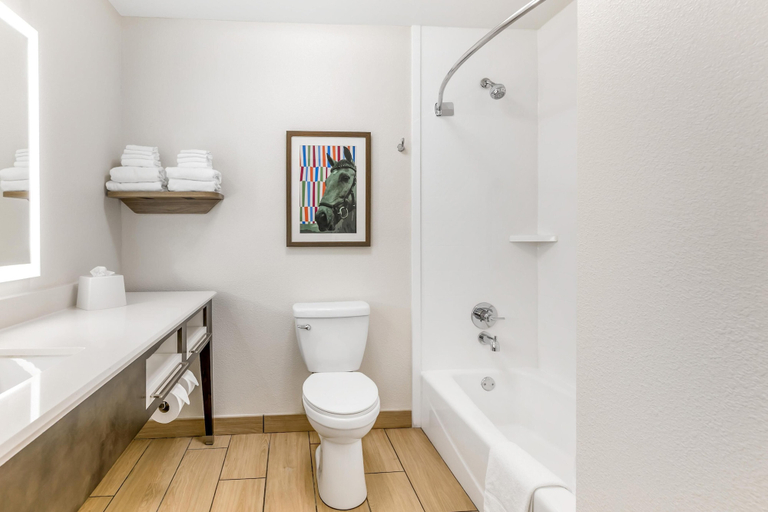 Bathroom 5, Hampton Inn Richmond, Madison