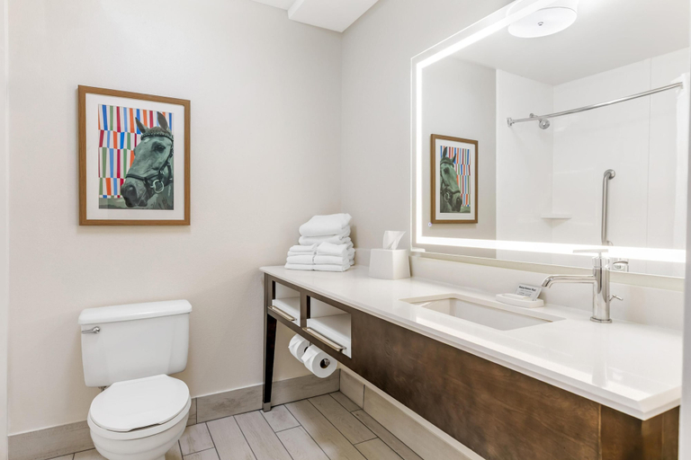 Bathroom 4, Hampton Inn Richmond, Madison