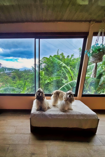 Interior, Escazu Studio, Escazú