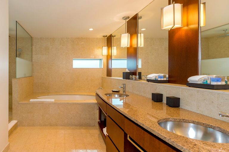 Bathroom 5, Hyatt Regency Trinidad