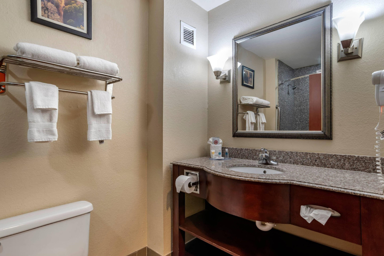Bathroom 4, Comfort Inn & Suites Clinton - Jackson West, Hinds