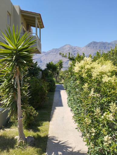 Property grounds 2, Argilos, Crete