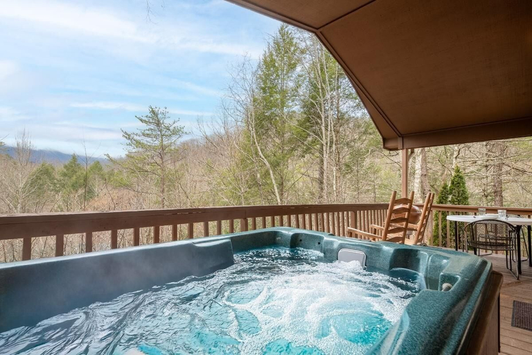Sport & Beauty 4, Cozy Bear Hideaway, Sevier