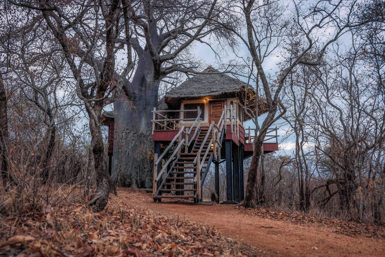 Exterior & Views 2, Elewana Tarangire Treetops, Monduli