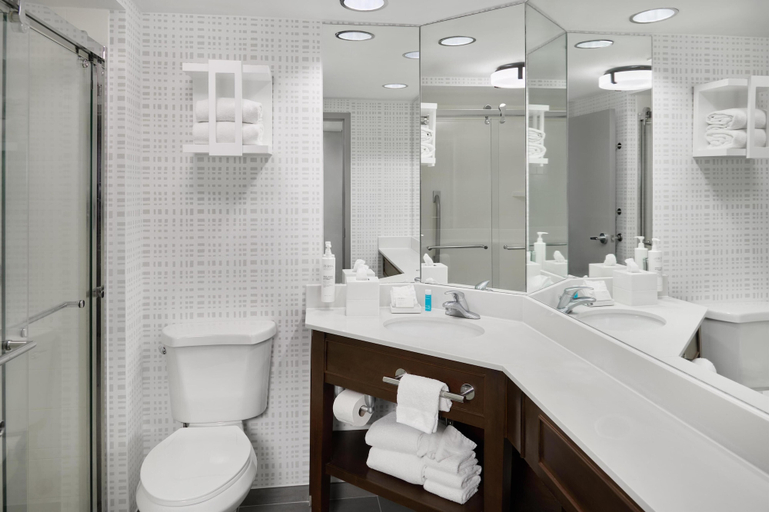 Bathroom 5, Hampton Inn Janesville, Rock
