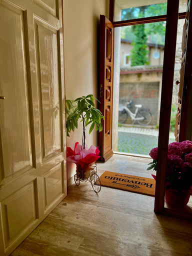 Others 5, B&B Animali Selvaggi, L'Aquila