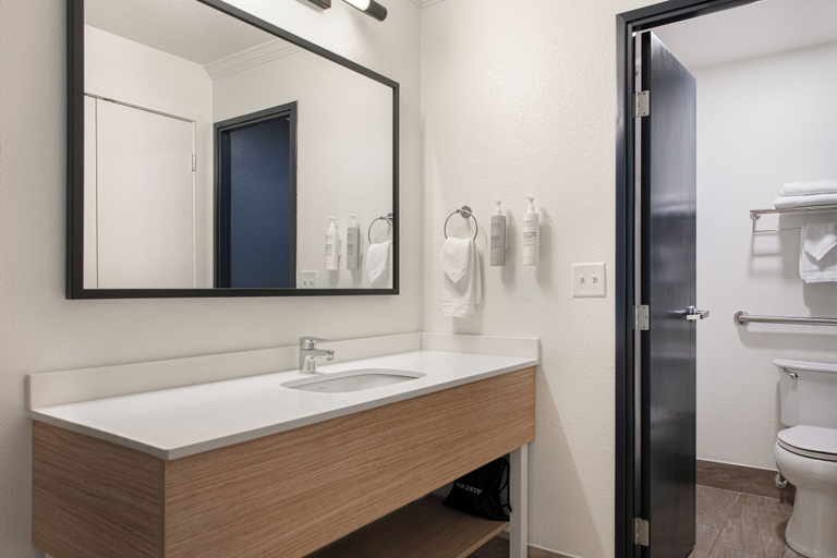 Bathroom 4, Spark by Hilton Asheville Blue Ridge Parkway, Buncombe
