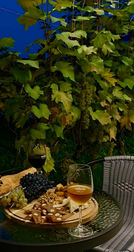 Food & Drinks 5, Villa Ikalto, Telavi