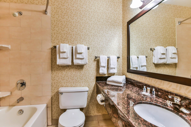 Bathroom 5, Comfort Inn & Suites Ambassador Bridge, Essex