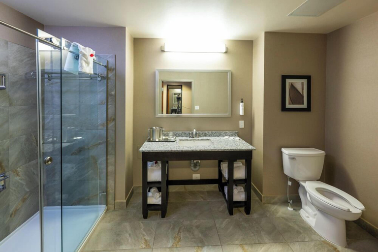 Bathroom 4, Radisson Hotel Edmonton Airport, Division No. 11