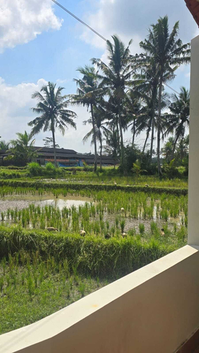 Balcony view, dParis Villas Ubud, Gianyar