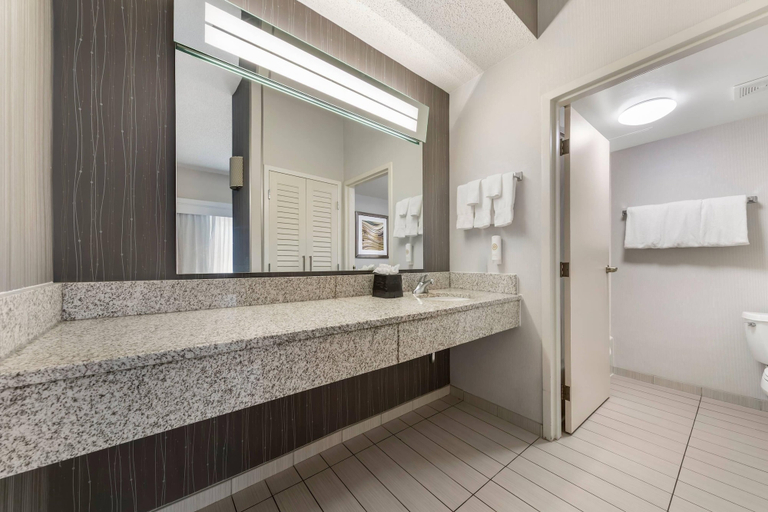 Bathroom 4, Comfort Inn & Suites Bethlehem Lehigh Valley Airport, Lehigh