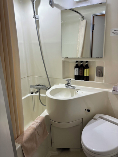 Bathroom 2, Kyoto Central Inn, Kyoto