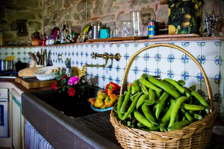 Food & Drinks, Villa Porcigliano Olive Grove, Florence