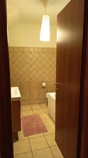 Bathroom, Villa roxana camera Ana, Rome