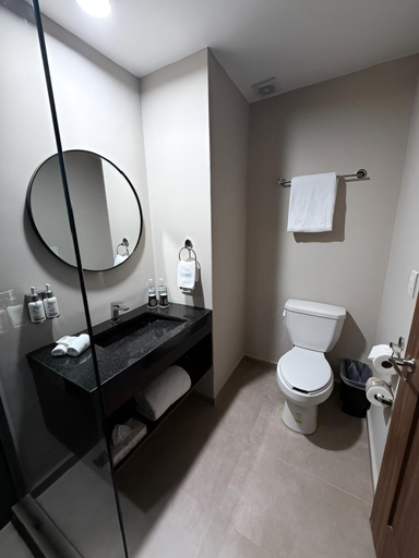 Bathroom 4, Wyndham Garden Durango, Durango