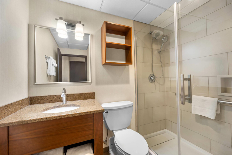 Bathroom 4, Radisson Hotel La Crosse, La Crosse